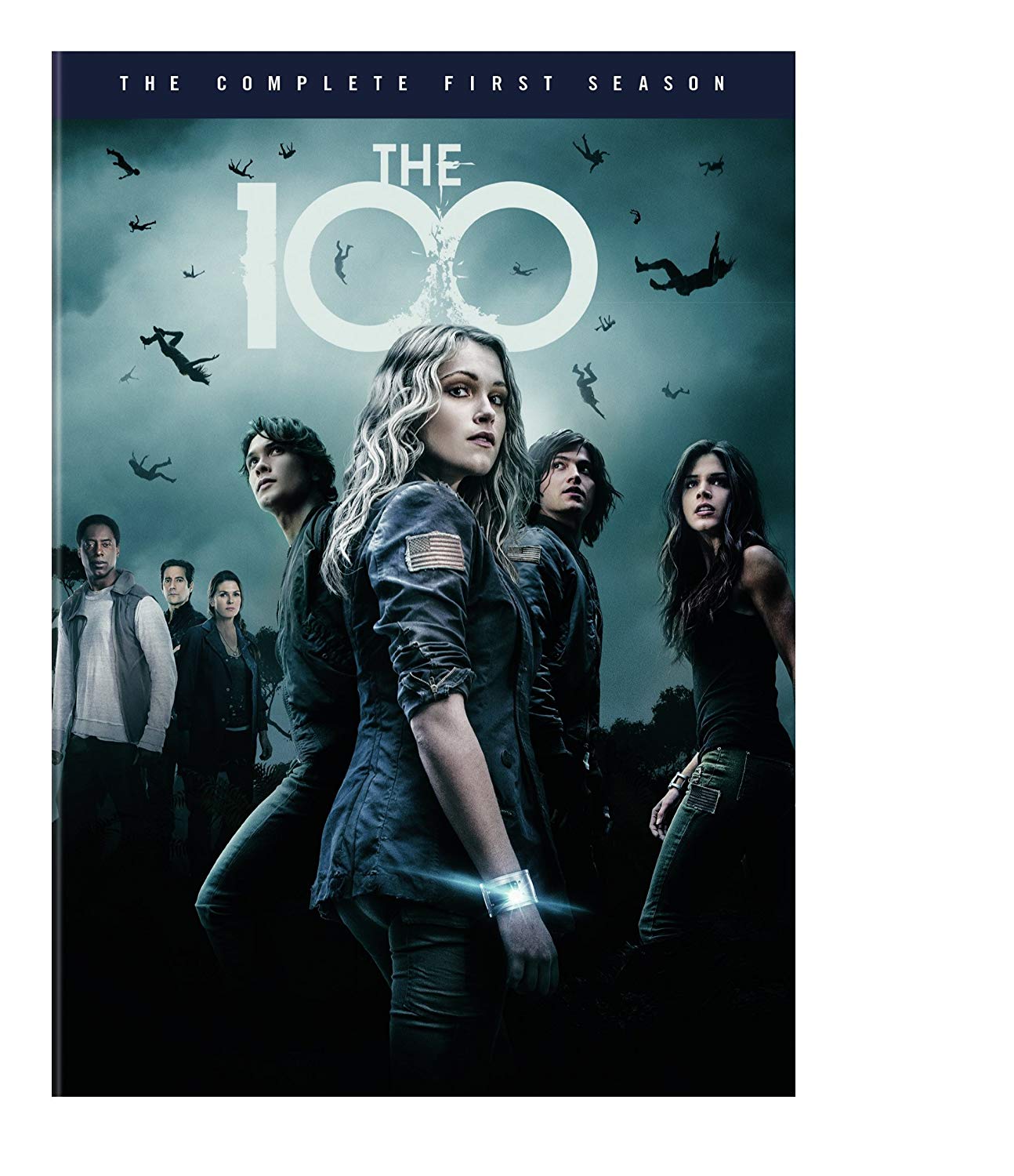 Tv Show cover: The 100