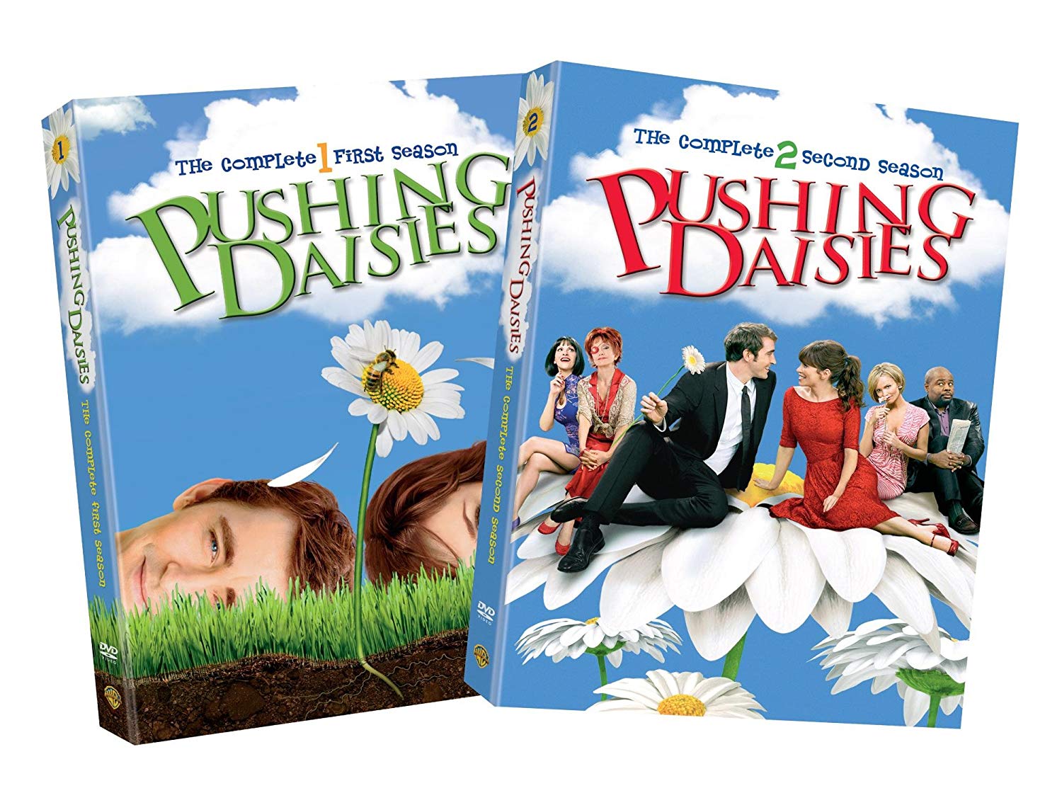 Tv Show cover: Pushing Daisies
